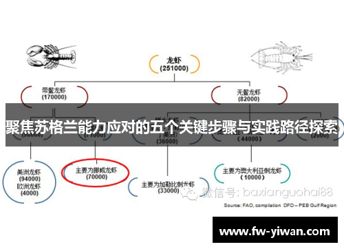 聚焦苏格兰能力应对的五个关键步骤与实践路径探索