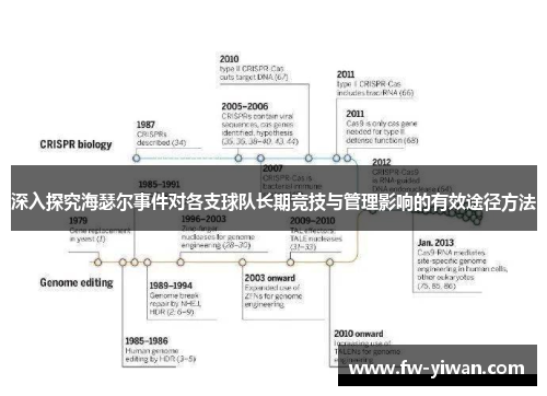 深入探究海瑟尔事件对各支球队长期竞技与管理影响的有效途径方法