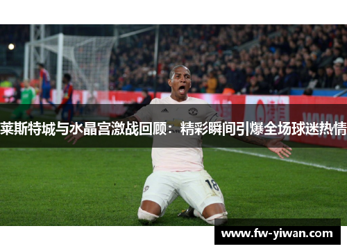 莱斯特城与水晶宫激战回顾:精彩瞬间引爆全场球迷热情 莱斯特城与水晶宫激战回顾:精彩瞬间引爆全场球迷热情