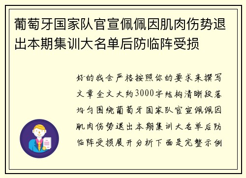 葡萄牙国家队官宣佩佩因肌肉伤势退出本期集训大名单后防临阵受损